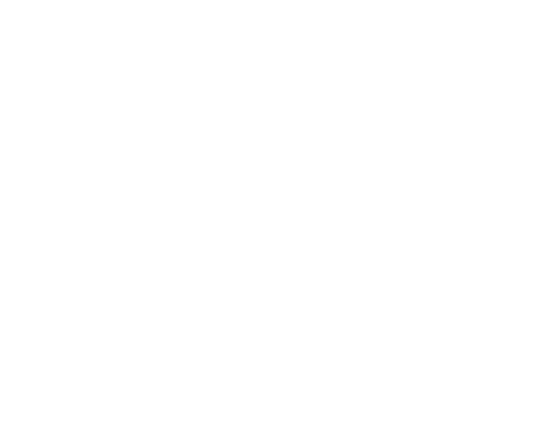 Fakt